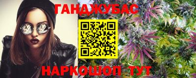 индика Малгобек