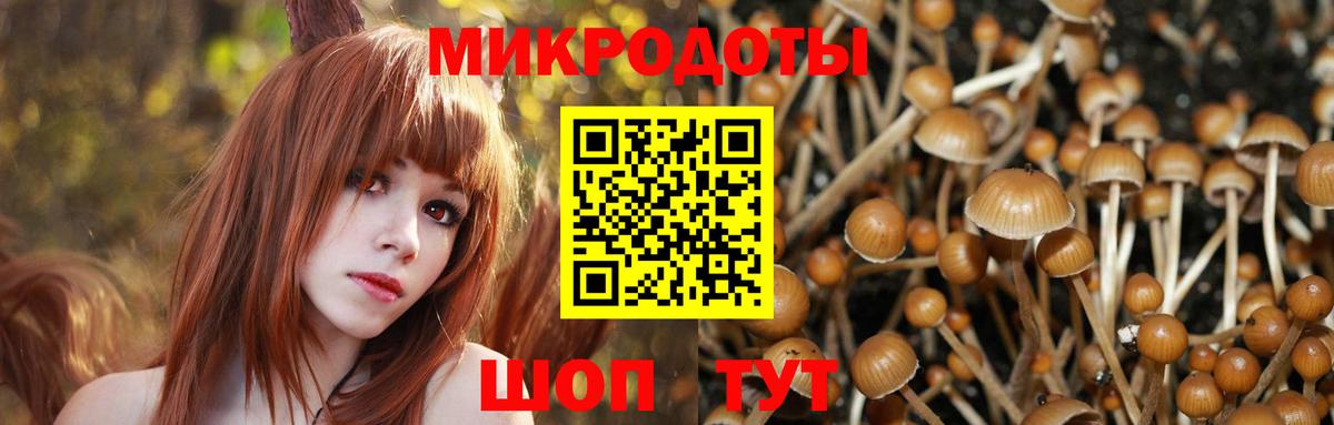 Галлюциногенные грибы мухоморы  Вход с VPN  Ростов-на-Дону 